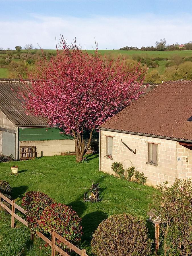 Gite à la Ferme Rouvroy Esterno foto