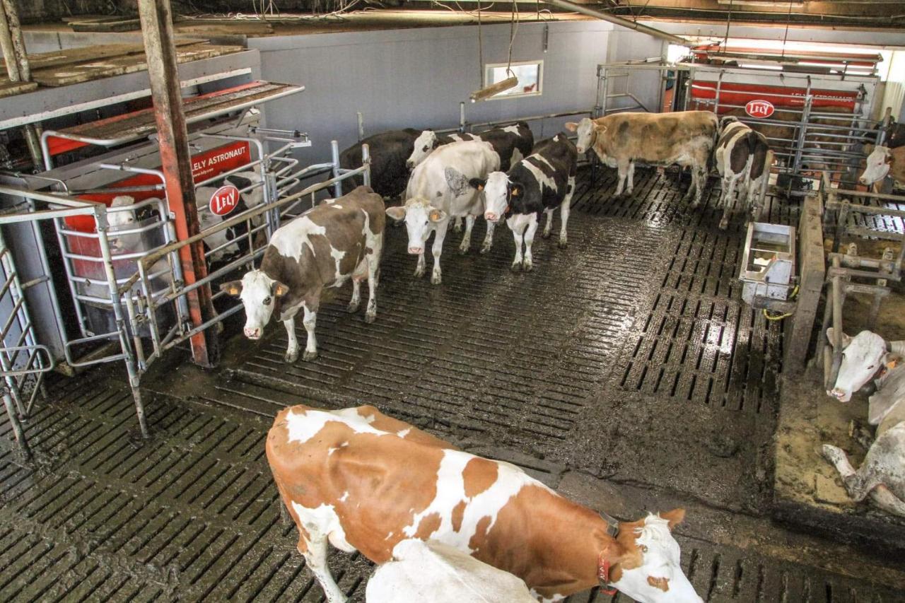 Gite à la Ferme Rouvroy Esterno foto